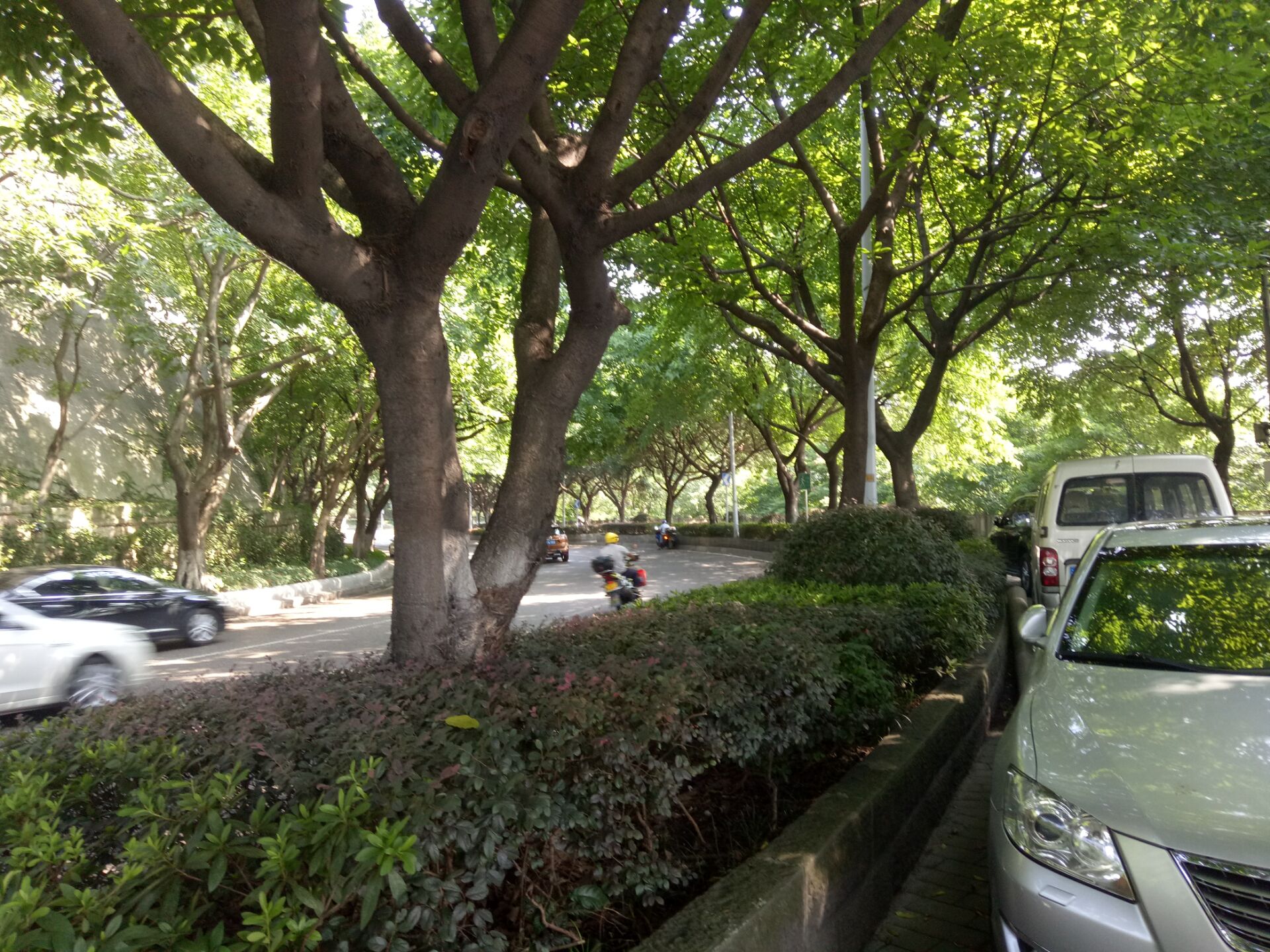重庆市渝中区爱民老年服务中心