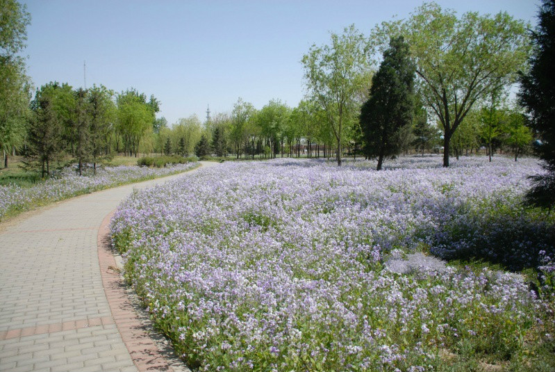 北京市朝阳区健生养老院