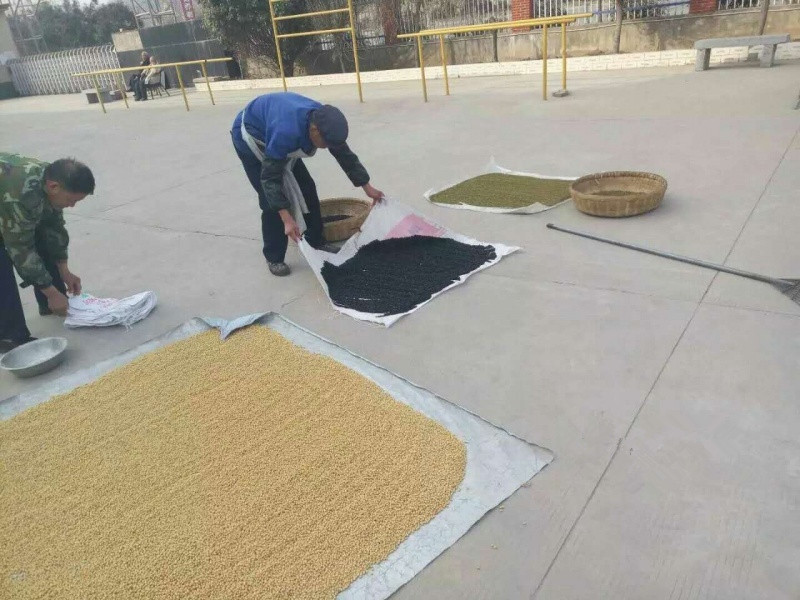 偃师市怡心苑康乐养老中心