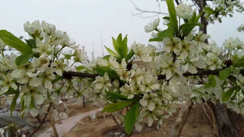 迁安市幸福之家老年公寓