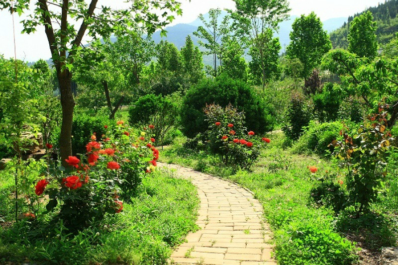 德慧家园养老院 德慧家园养老院