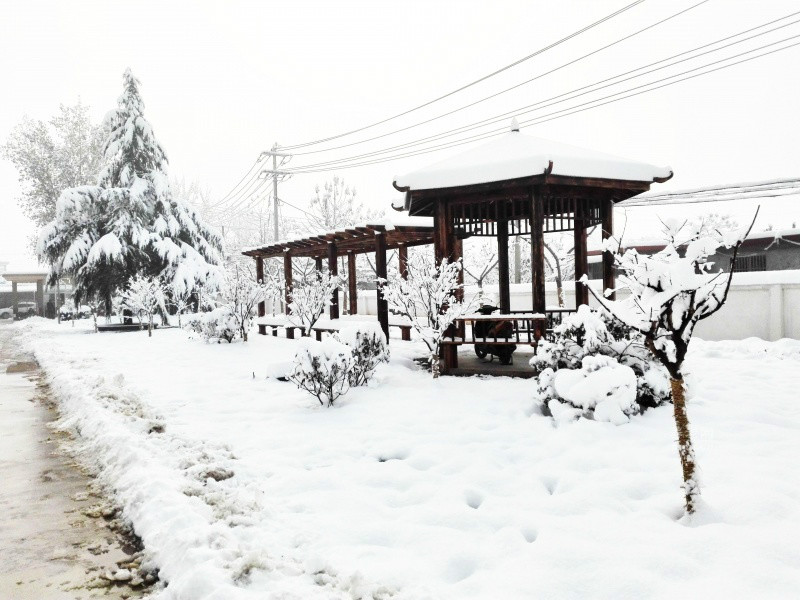 枣庄甘泉护理院