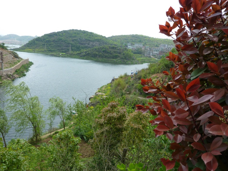 百花湖镇花桥养老院