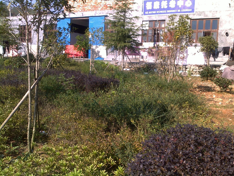浙江省温岭市大溪镇福康托老中心