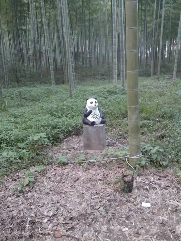 太平山庄夏季避暑圣地