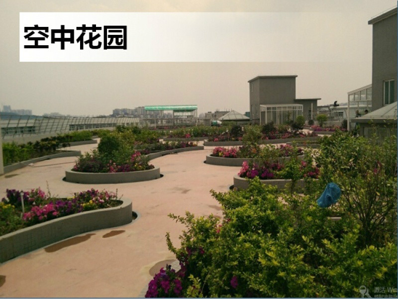 顺德乐善居颐养院