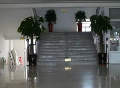 绥中县托管中心 绥中县托管中心