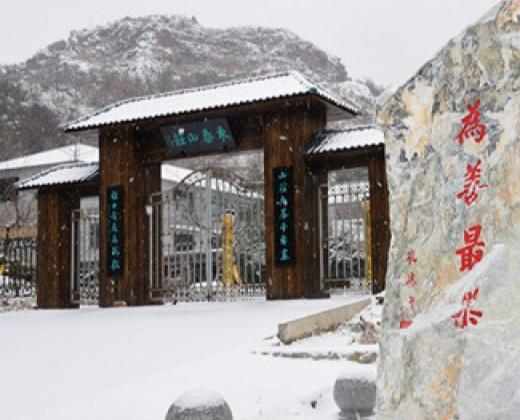 东泰山庄养老院