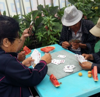 暖心医护养老院