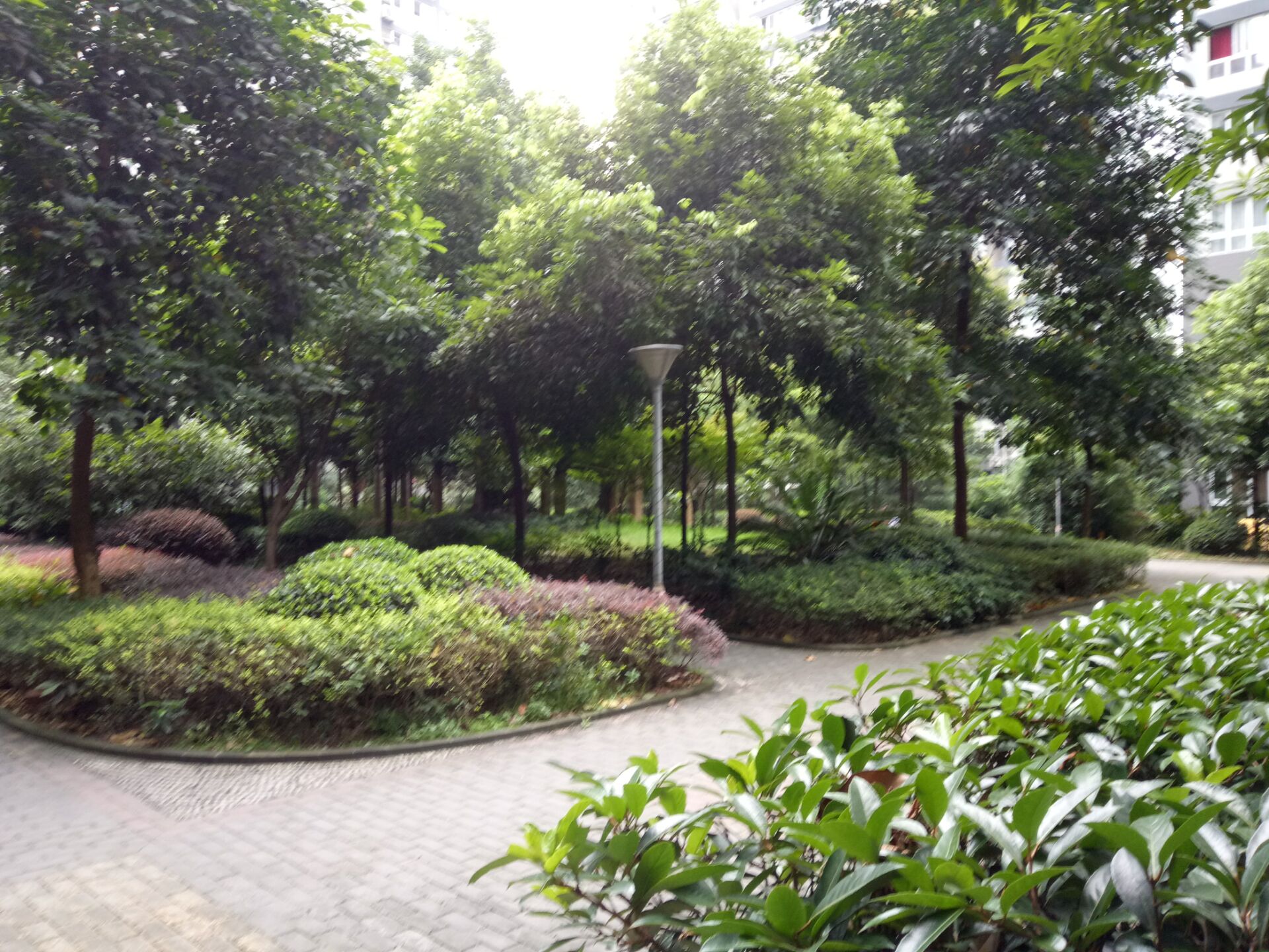 重庆市渝中福利院化龙桥分院
