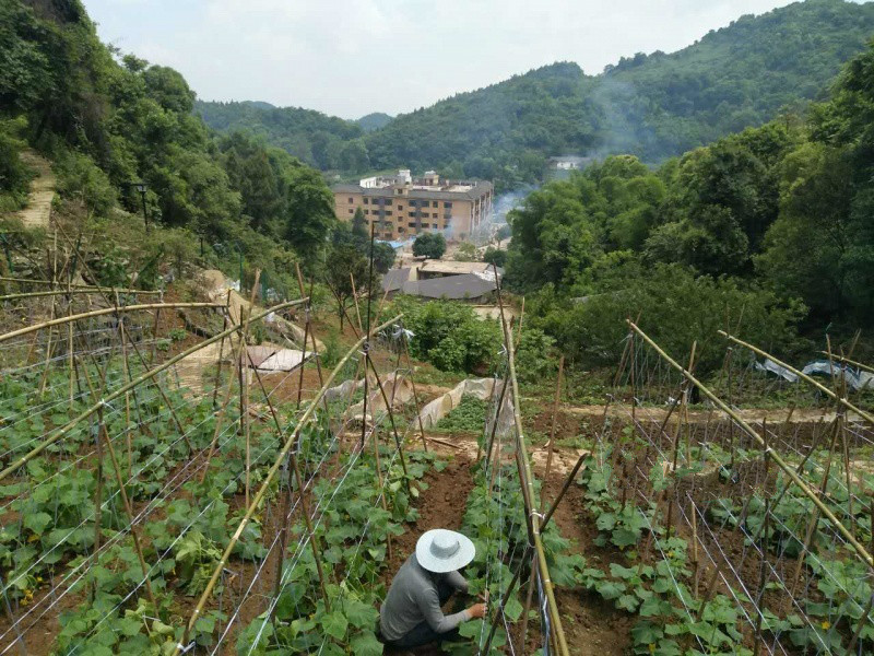 怡心园老年公寓