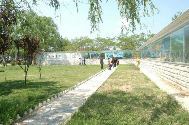 郓城黄河养护集团