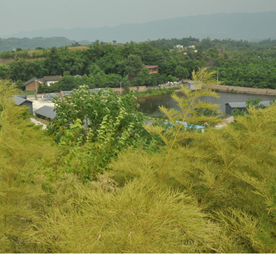 璧山福音养老院