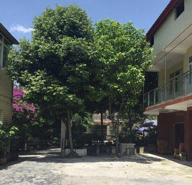 重庆市沙坪坝区锦阳佳苑