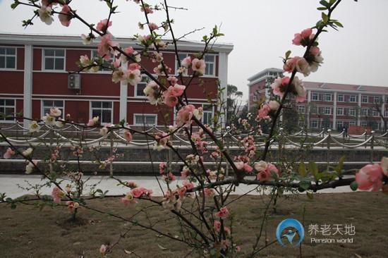 上海市金山区东林养老院