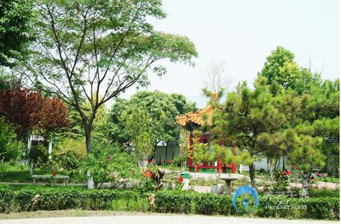 北京市朝阳区颐园老年公寓