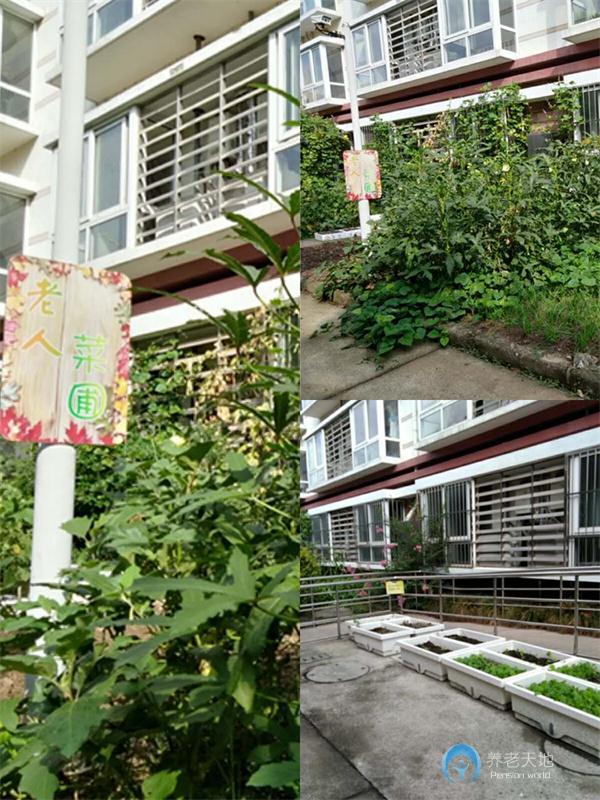 上海松江方松街道敬老院