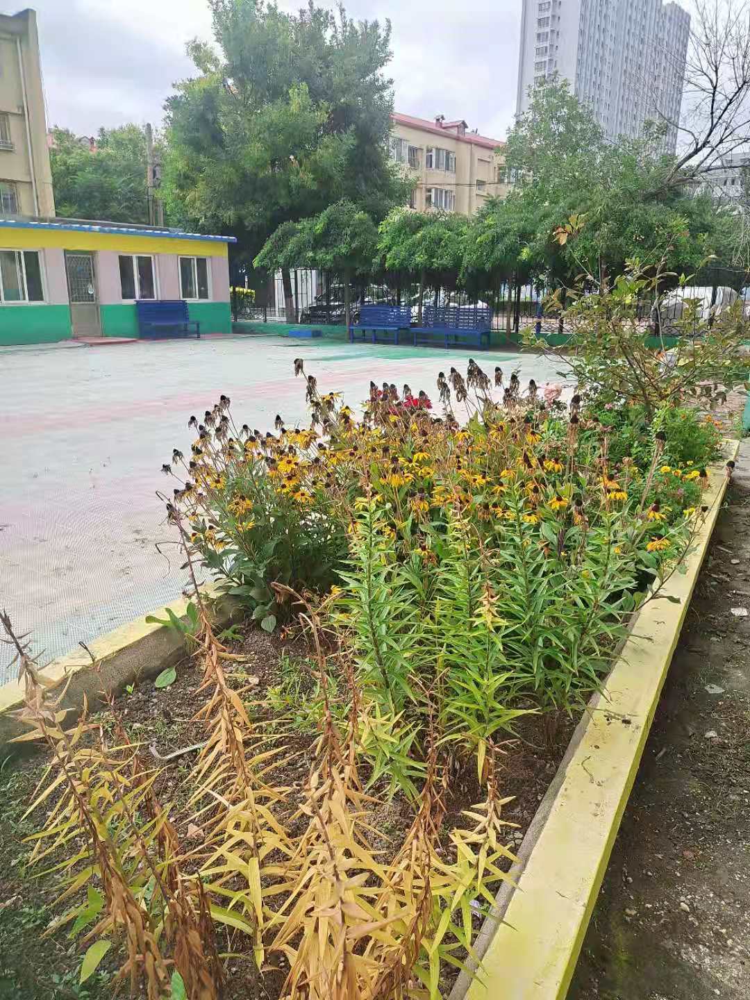 颐馨园养老院