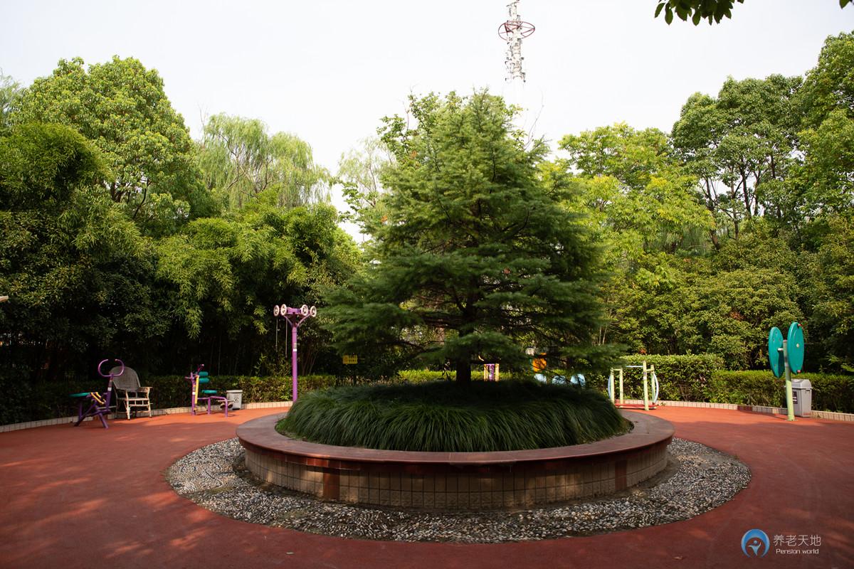 上海夕阳老年护理院（洪天合庆分院）