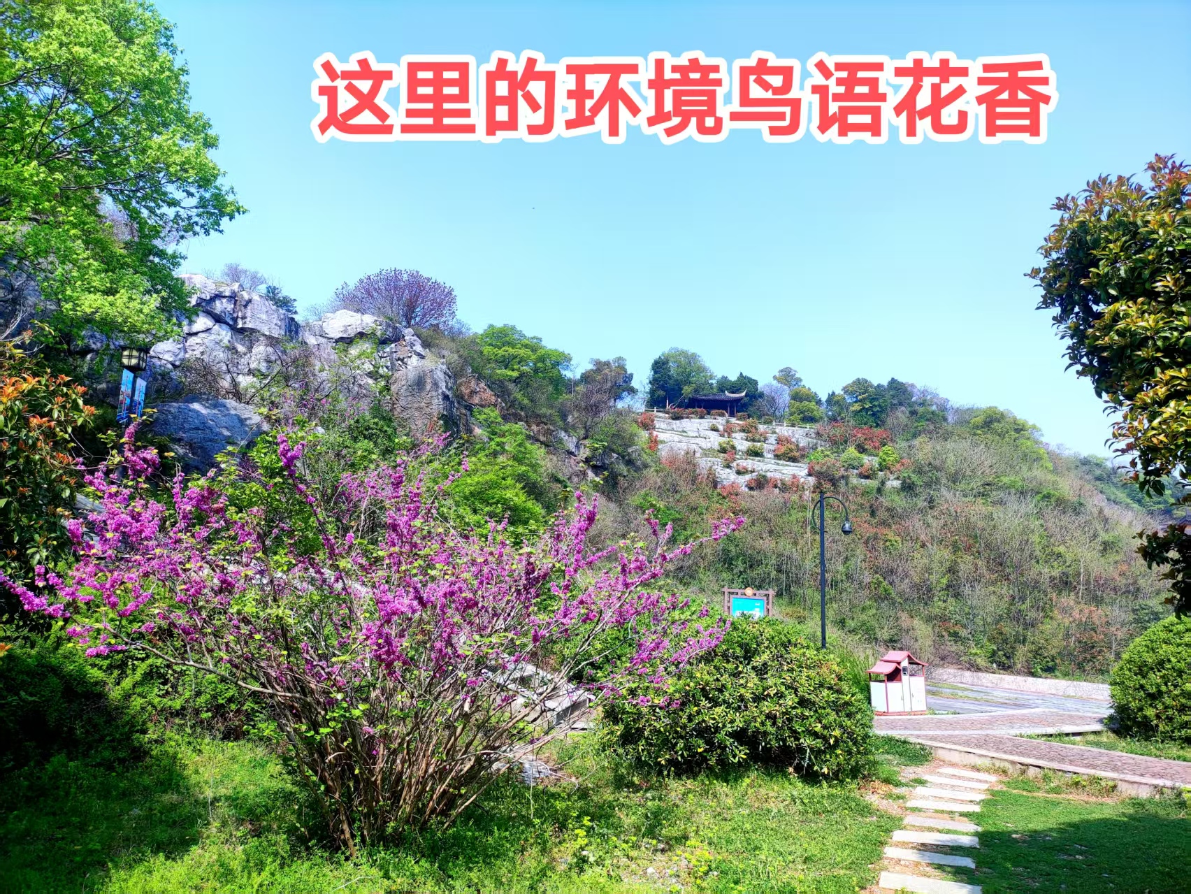 苏州恺悦养老院