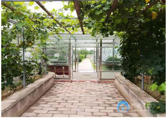 北京市昌平区鸥情老年颐养院 北京市昌平区鸥情老年颐养院