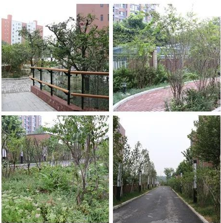 QQ截图20181222143210.png