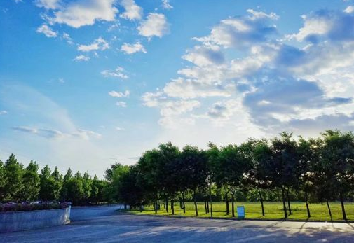 QQ截图20190418111703.png