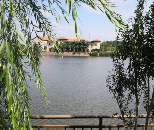 QQ截图20191112162234.png