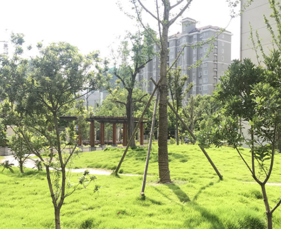 QQ截图20200221114527.png